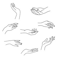 Woman's Hand Collection Line. Vector Illustration Of Female Hands Of Different Gestures - Victory, Okay. Lineart In A Trendy Minimalist Style. Logo Design, Hand Cream, Nail Studio, Posters, Cards.