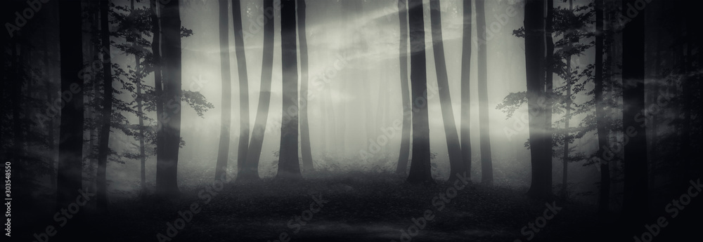surreal dark forest panorama, fantasy landscape with strange portal in forest at night - obrazy, fototapety, plakaty 