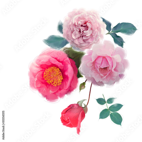 Rose flowers watercolor on white background