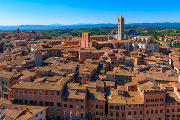 Poster - View of Siena Cathedral (Duomo di Siena) in Siena, Italy. Skyline of Siena.