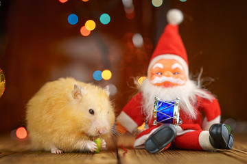 cute fluffy hamster and Santa Claus on wooden background bright bokeh festive atmosphere