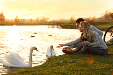 Young couple near lake with swans at sunset. Perfect place for picnic