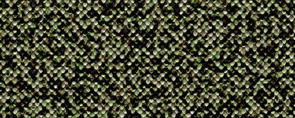 Green snake skin texture background