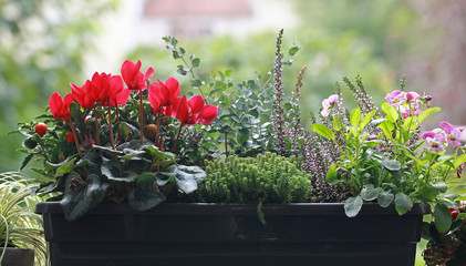 Sticker - Jardinière de plantes d'automne	