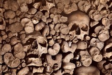 Wall Made Of Human Skulls And Bones