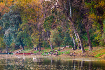 Wall Mural - Autumn peaceful lake landscape