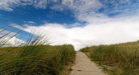 Wall Mural - Dune beach on the North Sea island Langeoog in Germany with blue sky and clouds on a beautiful summer day