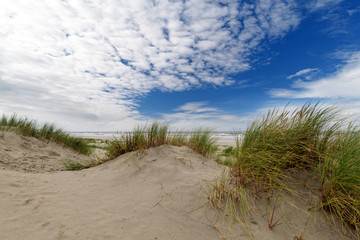 Wall Mural - Dune beach on the North Sea island Langeoog in Germany with blue sky and clouds on a beautiful summer day