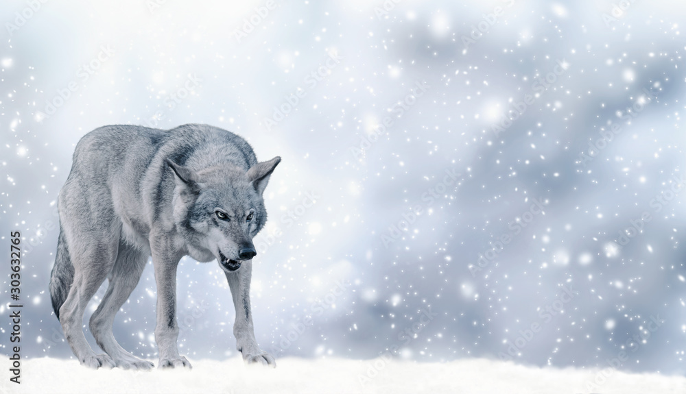 Obraz na płótnie Portrait of fabulous grinning gray wolf (canis lupus) ready to attack on winter snow background with snowflakes. Fantasy christmas card with snowy fairy tale landscape and predator animal. Copy space. w salonie