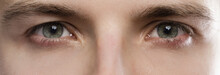 Closeup Of Male Eyes