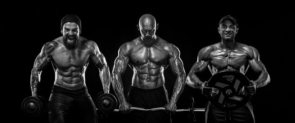 Wall Mural - Three strong and fit men bodybuilders. Sporty muscular guys with barbell and dumbbells. Sport and fitness motivation. Individual sports recreation.