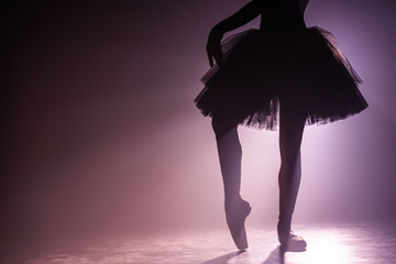 Wall Mural - Close up silhouette of ballerina legs in tutu dress. Ballet performance on dark stage with floodlight backlight. Smoke on neon background. Art concept. Copy space.