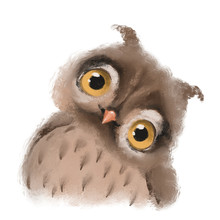 Cute Hand Drawn Owl Forest Bird, Woodland Watercolor Animal Portrait
