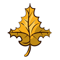 Poster - thanksgiving leaf plant autumn icon