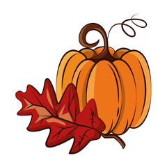 Poster - thanksgiving pumpkin with leaf autumn