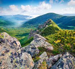 Wall Mural - Colorful summer view of foggy Carpathian mountains, Chornogora ridge, Ukraine, Europe. Amazing morning scene of rocky mountains. Beauty of nature concept background.