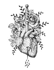 Wall Mural - The human heart and roses is pierced with a dagger. Hand drawn vector illustration. Sketch illustration . Tattoo print. Engraved style.