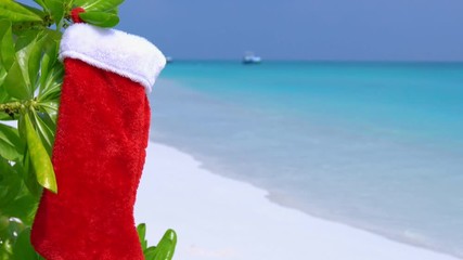 Wall Mural - Christmas stocking hanging on plant with green leaves at the shore on island, perfect getaway for your vacations. New Year holidays