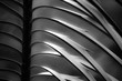 Black and White Abstract closeup of Sunlit Palm Leaves