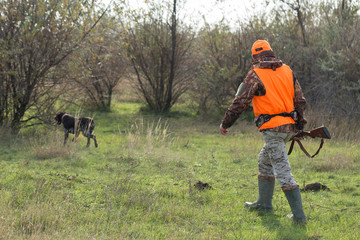 Wall Mural - Hunting period, autumn season open. A hunter with a gun in his hands in hunting clothes in the autumn forest in search of a trophy. A man stands with weapons and hunting dogs tracking down the game.	