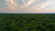 Aerial Shot over forest during sunset.