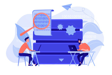 Wall Mural - Programmers with laptops working on code and big data. Software development, data processing and analysis, data applications and management concept. Vector isolated illustration.