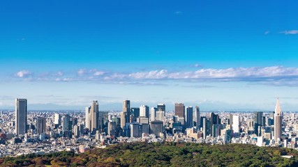 Fototapete - 東京の景観 タイムラプス