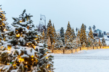 Sticker - Snow-covered christmas trees on Manezhnaya square. Moscow. Russia