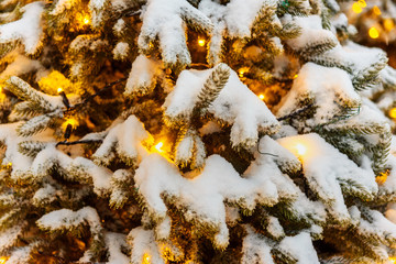 Sticker - Snow-covered christmas trees with lights