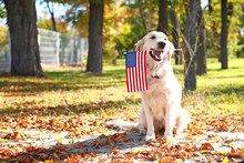 Cute Dog With National Flag Of USA In Park. Memorial Day Celebration