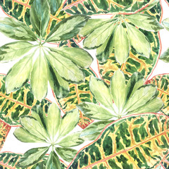  A pattern of colored variegated palm leaves