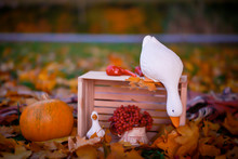 Autumn Decor Duck Toys