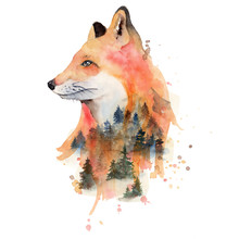 Watercolor Fox With Double Exposure Effect Animal Illustration Isolated On White Background.