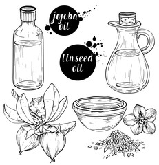 Wall Mural - Vector Black and white set of Organic ingredients for cosmetic care oils. Linseed and jojoba oils