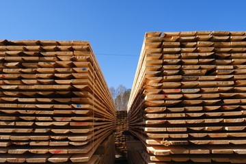 Wall Mural - Wood timber in the sawmill. Piles of wooden boards in the sawmill. 