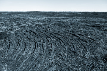 Intertwined tree roots on dry cracked earth on a calm deserted spring landscape of Iceland. Toned