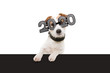dog new year with paws over black edge. wearing glasses with the inscription