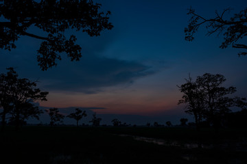 Beautiful sunset landscape Blue light In the spring.