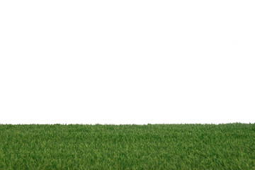 Green grass field isolated on white background