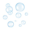canvas print picture - Soap bubbles on a white background