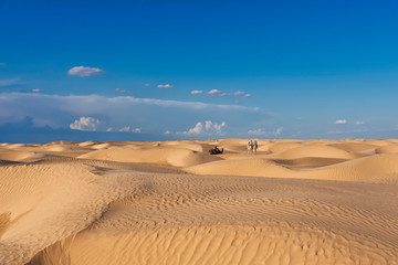 Wall Mural - the sands and dunes of the Sahara desert, with camels and people sitting on camels