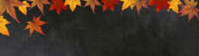 Autumn – Frame Of Colorful Leaves Isolated On A Black Concrete Texture – Background Panorama Banner Long