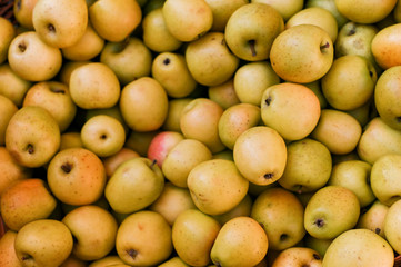 Farm apples in a box on the market. Harvest ripe apples.