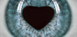human blue eye with heart shape pupil