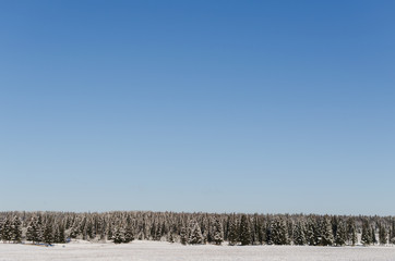 Poster - Field, trees and horizon, beautiful winter landscape