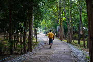 Canvas Print - walking in the forest