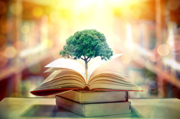 Poster - Imagine a picture book of an ancient book opened on a wooden table with a sparkling golden background. With magical power, magic, lightning around a glowing glowing book In the room of darkness