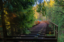 The Forgotten Railway Bridge In The Middle Of The Forest