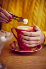 hands holding a cup of tea