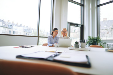 Two smiling businesswomen sitting in an office using a laptop